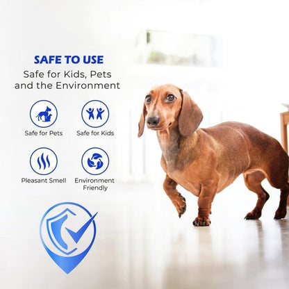 ✨ Last day of the sale ✨Floor Restorer & Polish w/applicator