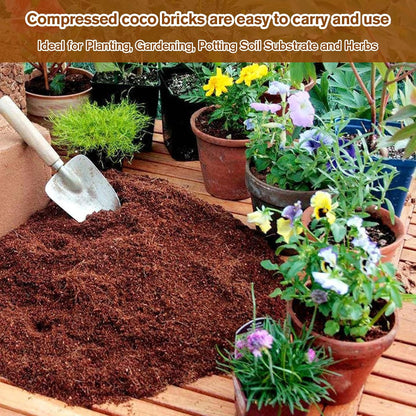 Spring Hot Sale 49% OFF✨ -  Premium Organic Coconut Coir Bricks for Plants