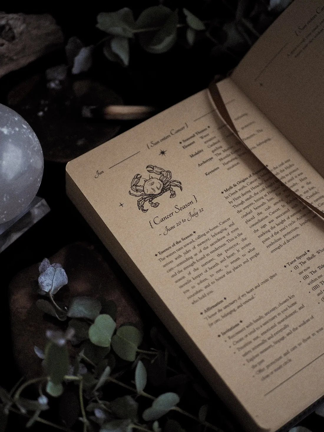 🪐2026 Celestial Journal – Seasonal & Astrological Almanac