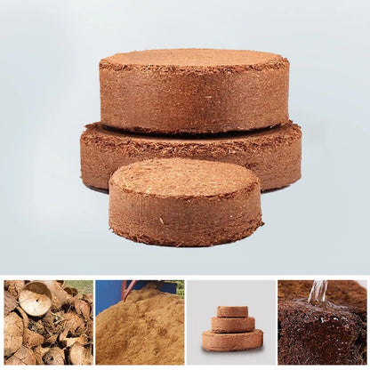 Spring Hot Sale 49% OFF✨ -  Premium Organic Coconut Coir Bricks for Plants