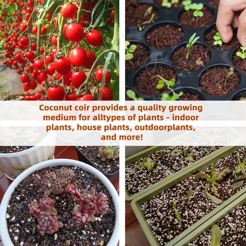 Spring Hot Sale 49% OFF✨ -  Premium Organic Coconut Coir Bricks for Plants