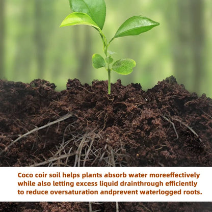 Spring Hot Sale 49% OFF✨ -  Premium Organic Coconut Coir Bricks for Plants